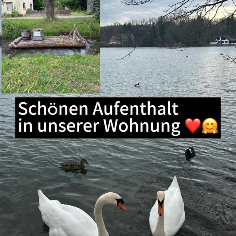 MemmingenBuxheimKartause - Apartment mit 1 Schlafzimmer - 27