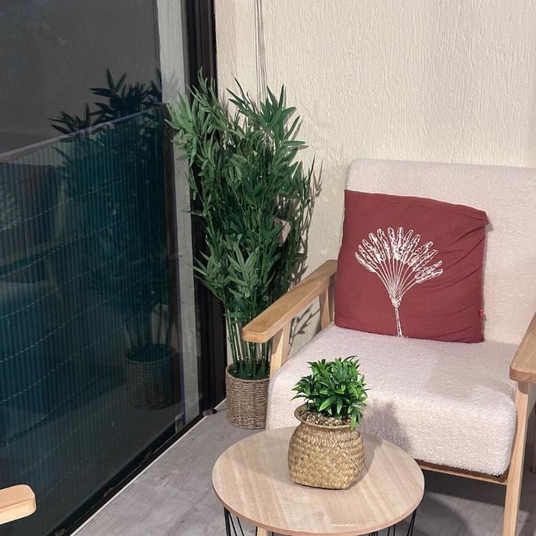 Spacious apartment - Av de la Méditerranée - air conditioning - WiFi- parking - Appartement 2 Chambres - 25