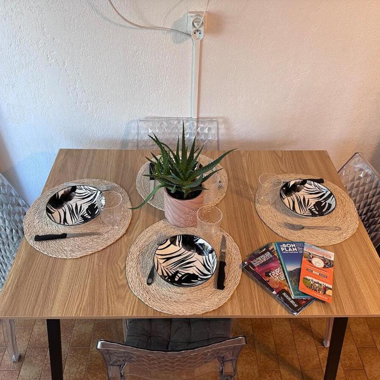 Spacious apartment - Av de la Méditerranée - air conditioning - WiFi- parking - Appartement 2 Chambres - 38