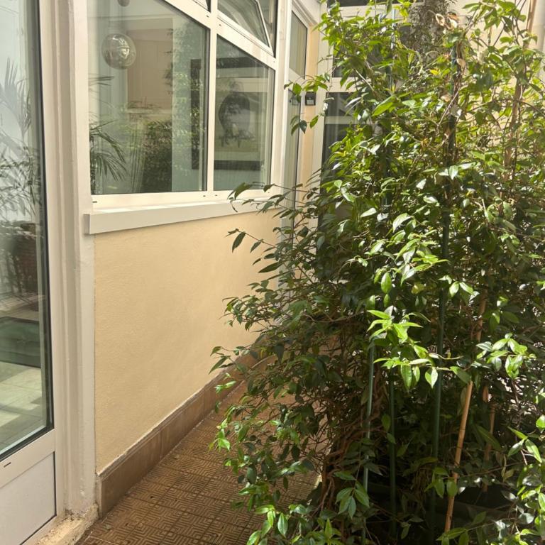 ATELIER D artiste sur L Ile Saint Louis - Appartement 2 Chambres - 28