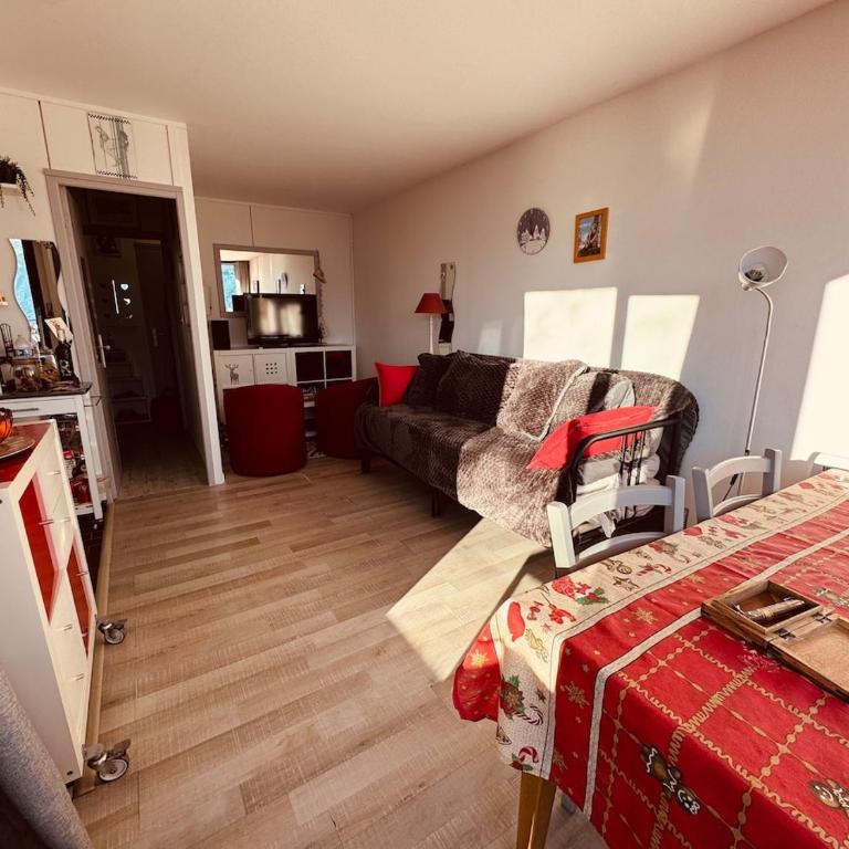 Appartement avec vue imprenable sur les montagnes - Appartement 1 Chambre - 43