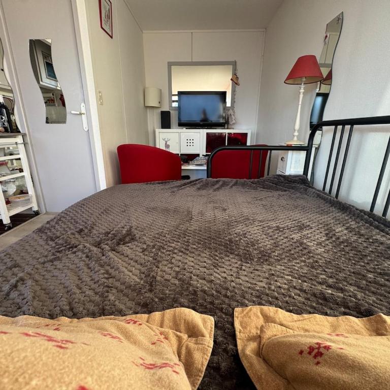 Appartement avec vue imprenable sur les montagnes - Appartement 1 Chambre - 45