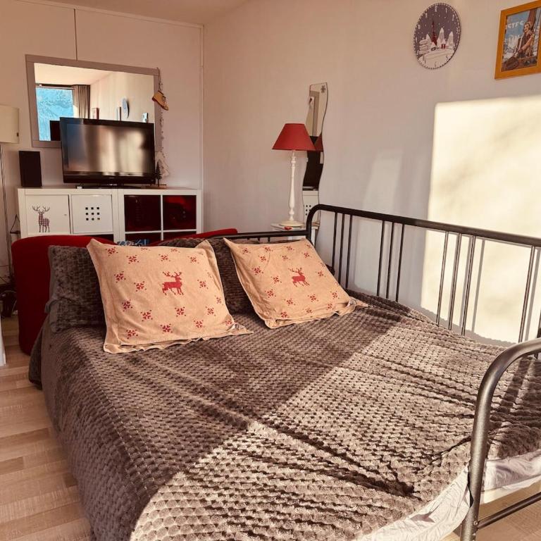 Appartement avec vue imprenable sur les montagnes - Appartement 1 Chambre - 46