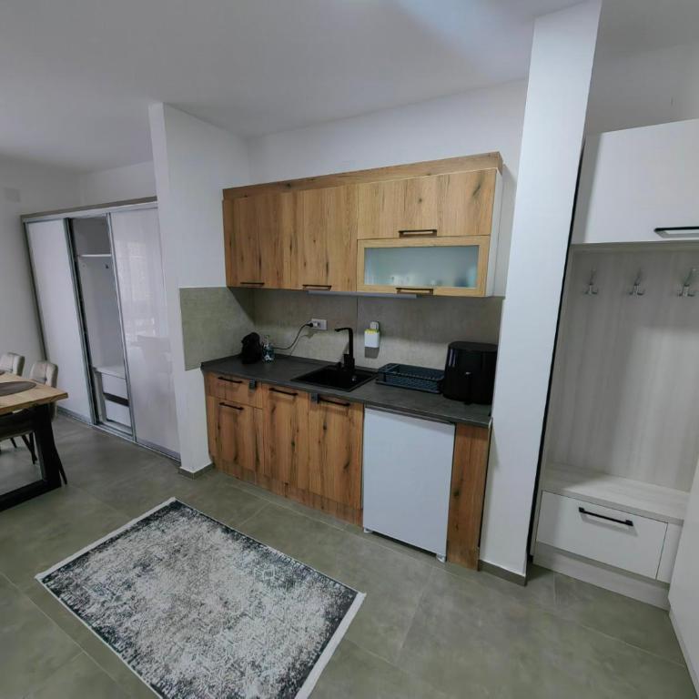 Vidak apartman - Apartman sa 1 Spavaćom Sobom - 10