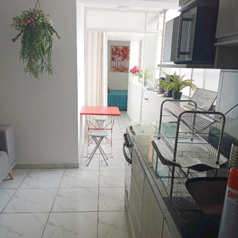 Mini departamento en Miraflores por Parque Kennedy - Apartamento de 1 dormitorio - 10