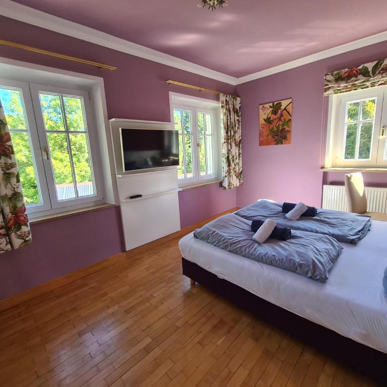 Hotel Waldsee - Doppelzimmer - 11