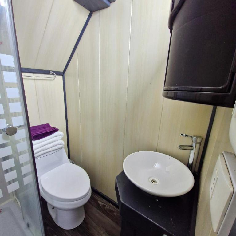 Wildepartamentos Valdivia Studio TM - Apartamento de 1 dormitorio - 4