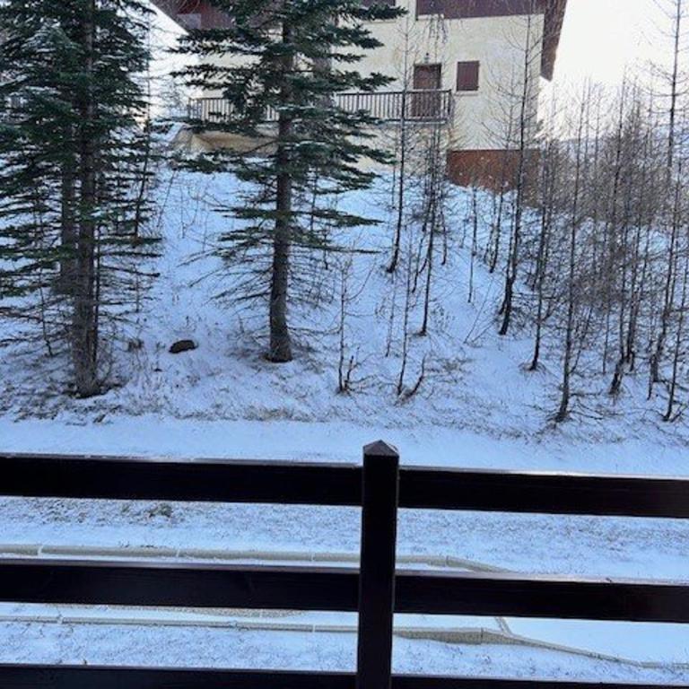 Studio calme et fonctionnel, pied de pistes, pour 5 personnes, balcon sud – Risoul 1850 - Appartement 1 Chambre - 17