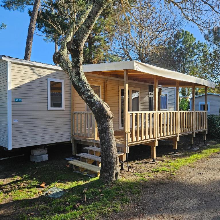 Mobilhome neuf 2025 ombragé Lege Cap ferret - Casa Mobile - 3