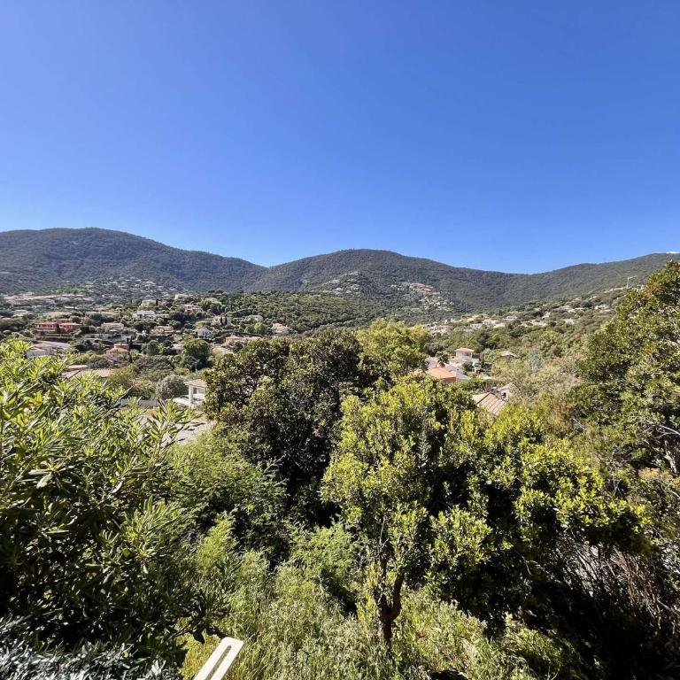 Appartement avec terrasse et piscine, 2 pièces, 4 couchages, à Cavalaire-sur-Mer - FR-1-226B-206 - Appartamento - 14