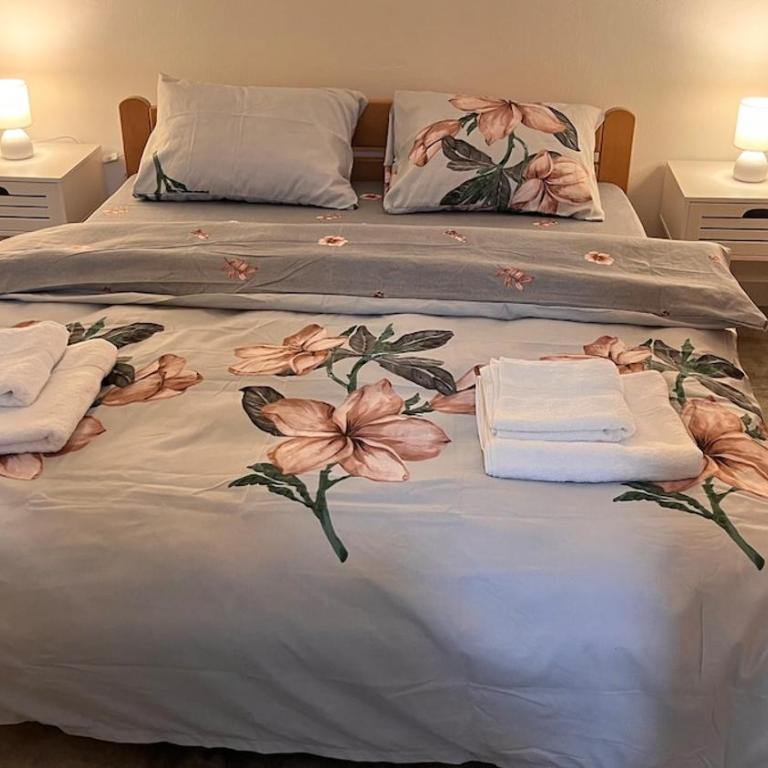 Apartment Aleksic - Apartman sa 1 Spavaćom Sobom - 1