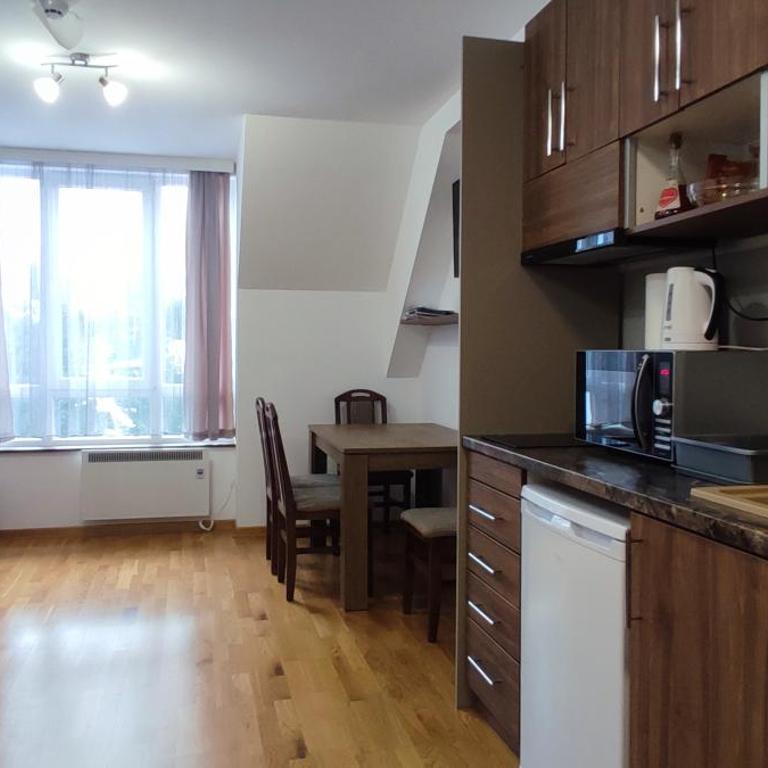 Apartman Studio Lux u Kraljevim Čardacima - Deluks Studio - 33