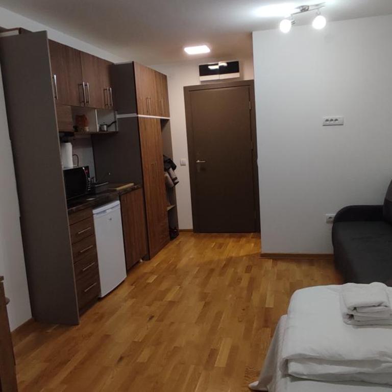 Apartman Studio Lux u Kraljevim Čardacima - Deluks Studio - 34
