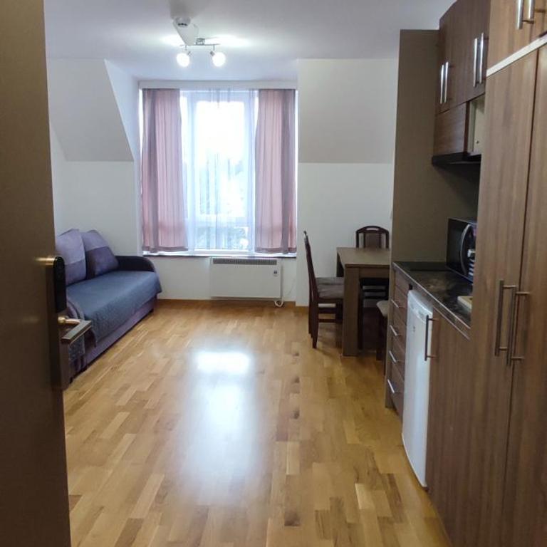 Apartman Studio Lux u Kraljevim Čardacima - Deluks Studio - 31