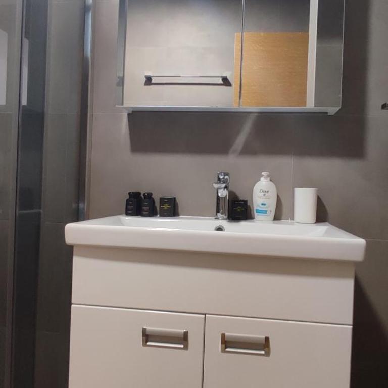 Apartman Studio Lux u Kraljevim Čardacima - Standardni Studio - 29