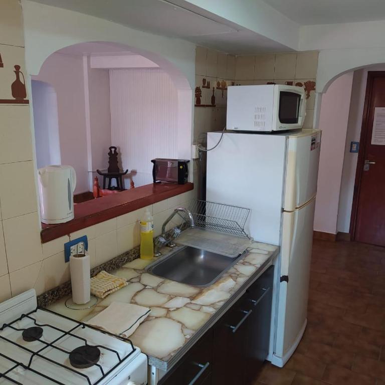 Departamentos Familiares Rosas Rojas - One-Bedroom Standard Apartment - 1