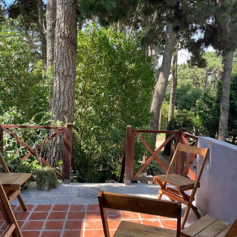 Departamento en barrio familiar y tranquilo - Apartamento de 2 dormitorios - 16
