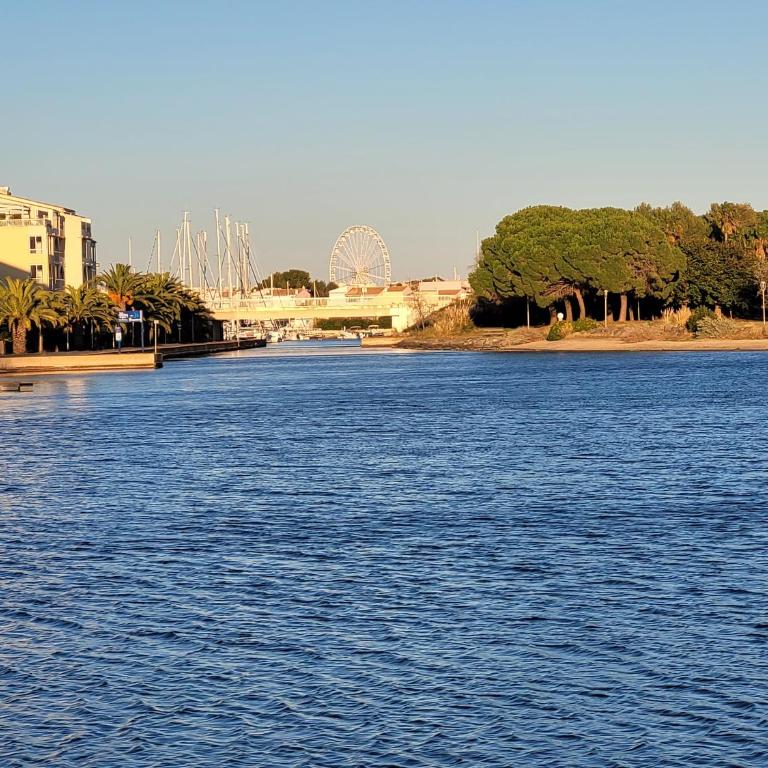 Agréable Studio Cabine - Clim-Piscine-Parking - proche Plage RICHELIEU - Appartement - 27