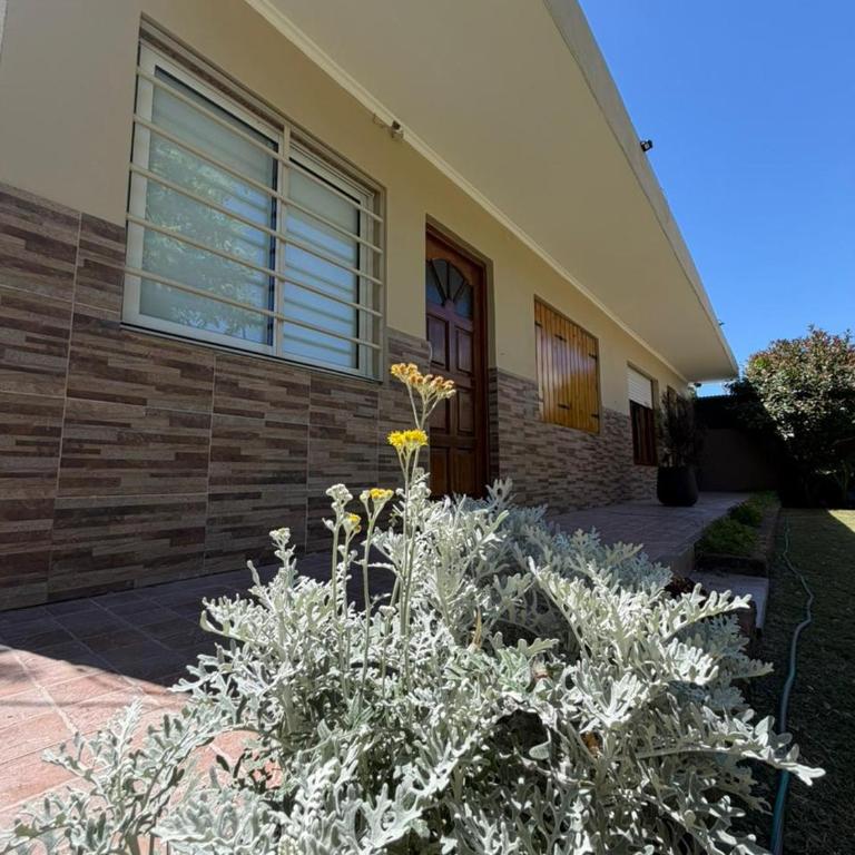 Departamentos Lidia - Apartamento de 1 dormitorio - 10