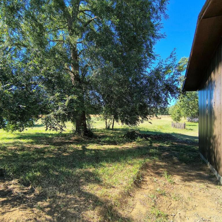 Hermosa casa de campo en parque recreativo - Casa con 1 dormitorio - 15