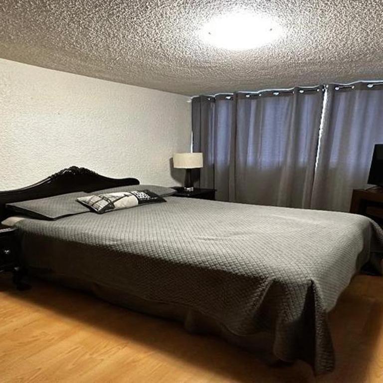 Alamos - One-Bedroom Apartment - 5