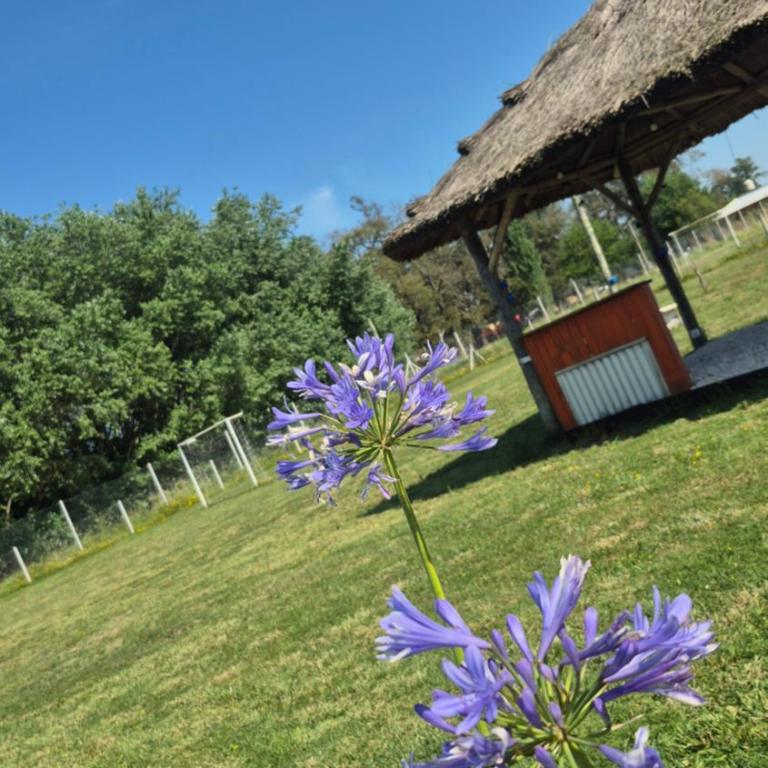 Quintas del Monte - Two-Bedroom House - 18