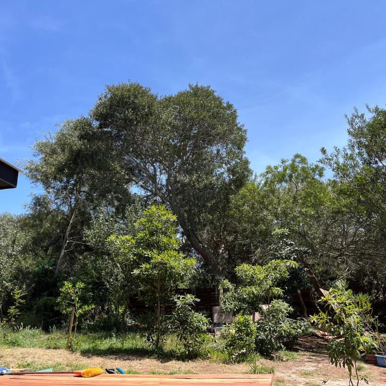 Mar de Fondo - One-Bedroom House - 24