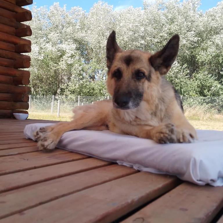 Quintas del Monte - Two-Bedroom House - 10