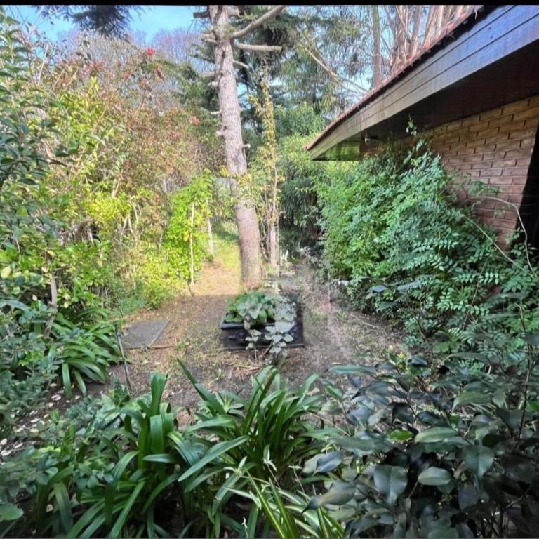 Excellent property, 6 blocks from the beach - Three-Bedroom House - 12
