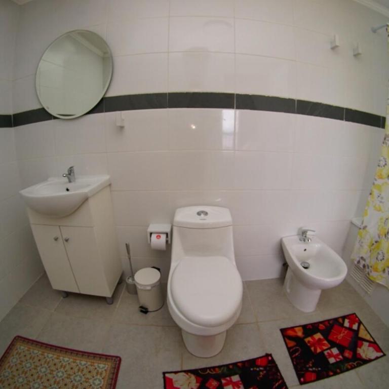 Apartamento en Puerto Varas entre Volcanes y Playa - Apartamento de 1 dormitorio - 31