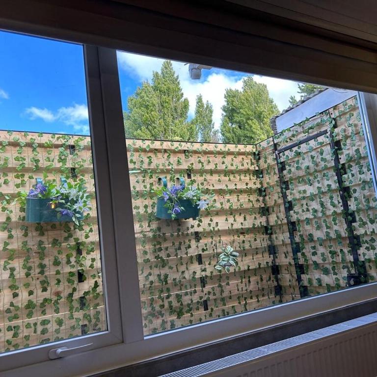 Next Door - One-Bedroom Apartment - 14