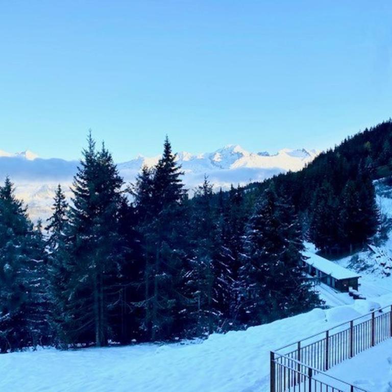 Appartement au pied des pistes avec espace bien-être et parking - Arc 1800 - FR-1-866-11 - Appartamento - 2
