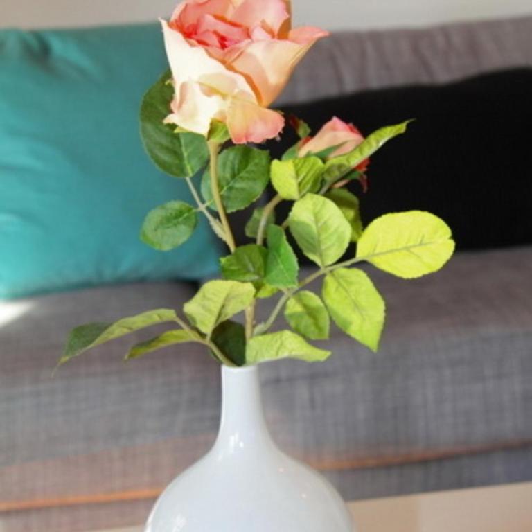 Forggensee - Apartamento - 4