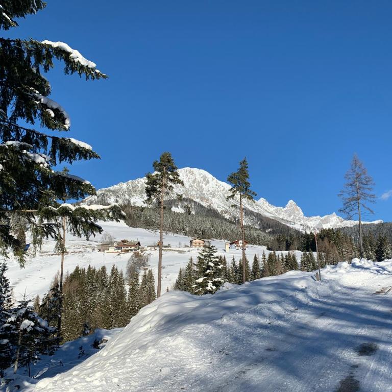 Luxury Filzmoos Chalet - Chalet mit 3 Schlafzimmern - 29