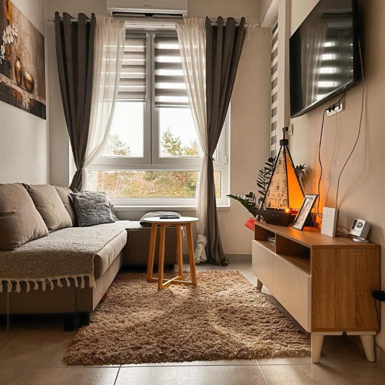 Apartman Toplina doma - One-Bedroom Apartment - 1