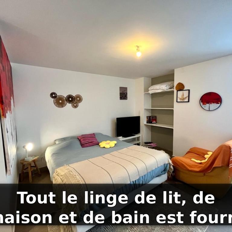 Le ptit chez soi by LPNL Studio confort RDC, Lit Queen, Arrivée autonome - Appartement 1 Chambre - 7
