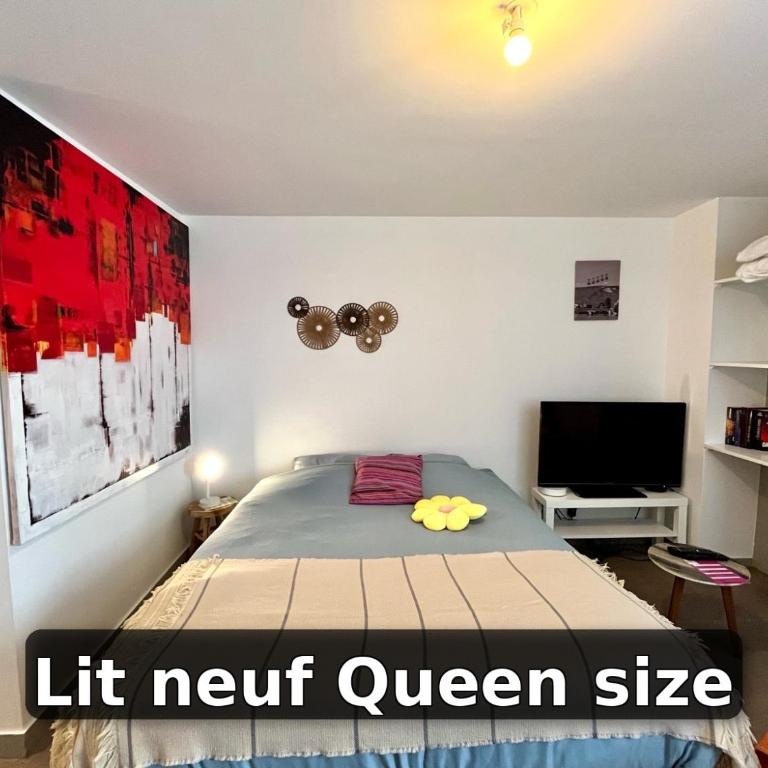 Le ptit chez soi by LPNL Studio confort RDC, Lit Queen, Arrivée autonome - Appartement 1 Chambre - 3