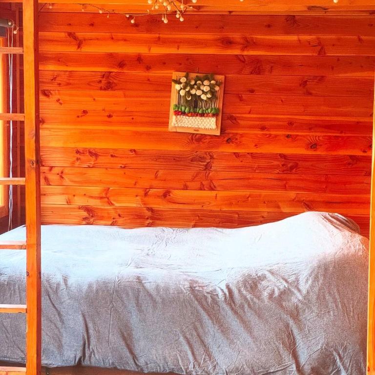 Refugio Sollipulli - Apartamento de 2 dormitorios - 17