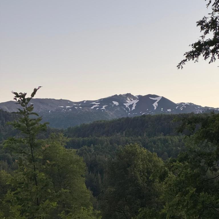 Refugio Sollipulli - Apartamento de 2 dormitorios - 19