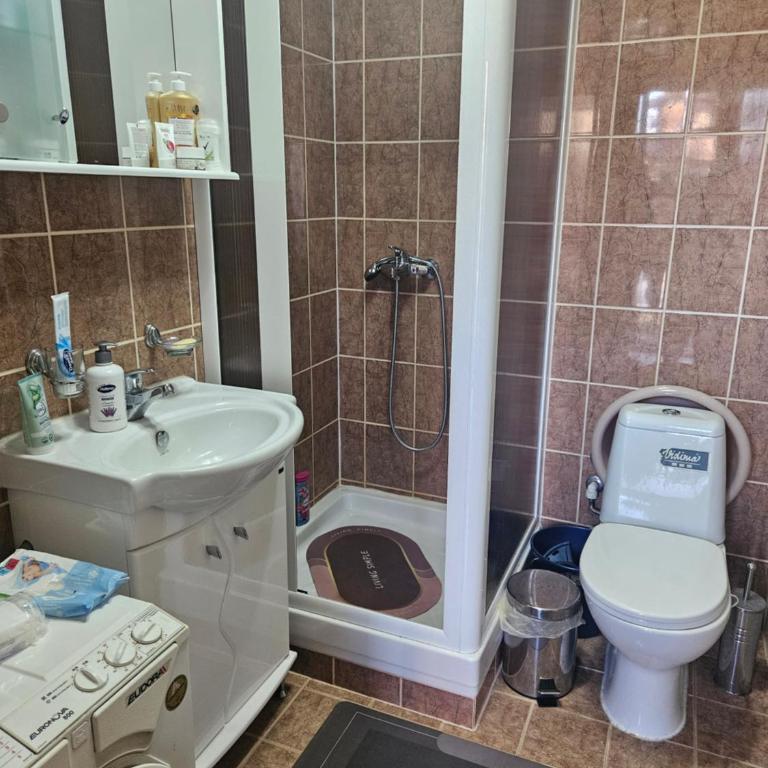 Apartman Vila Mir - One-Bedroom Apartment - 14