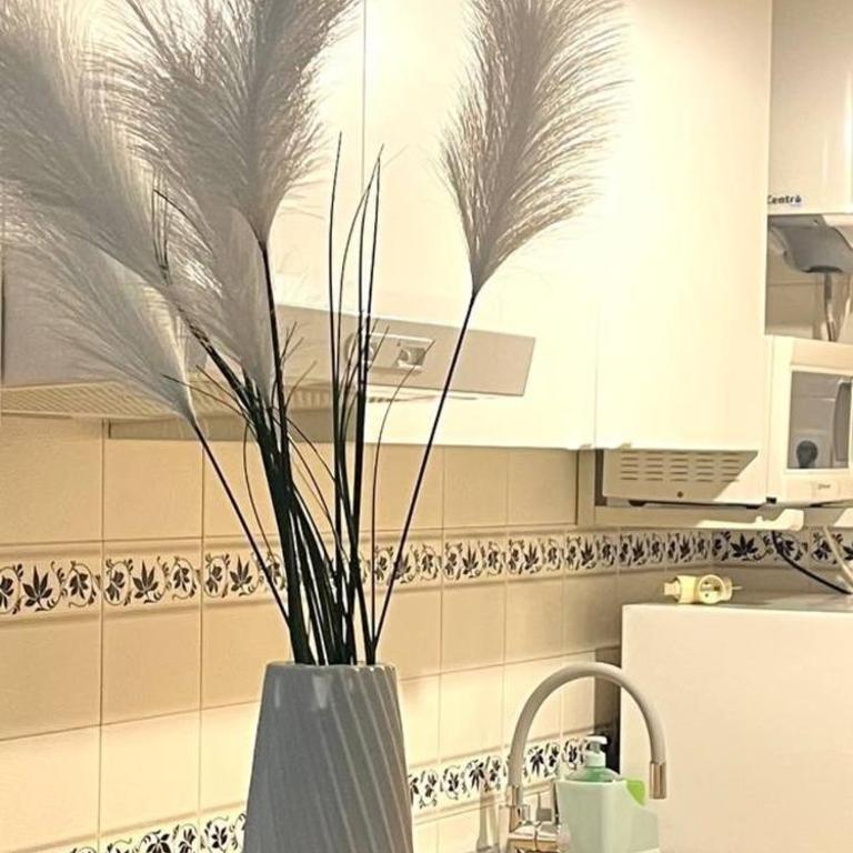 Apartament Nicoletta 2 Costa Blanca Torrevieja - Two-Bedroom Apartment - 11