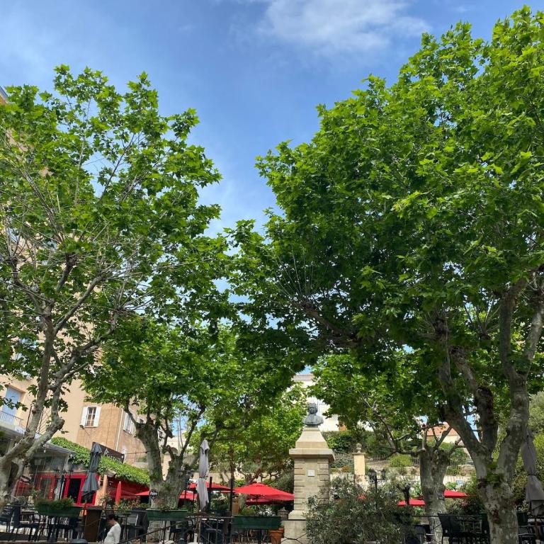 Calvi apartment 75 m2 city center - Appartement - 2