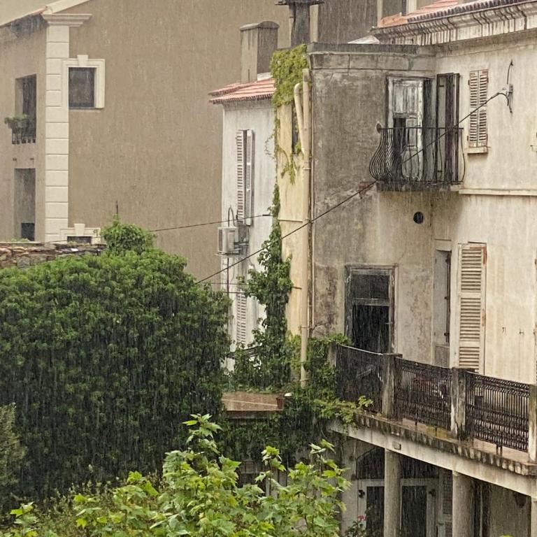 Calvi apartment 75 m2 city center - Appartement - 4