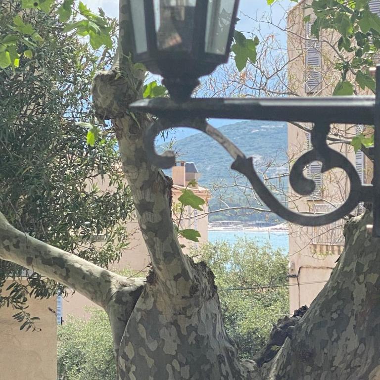 Calvi apartment 75 m2 city center - Appartement - 15