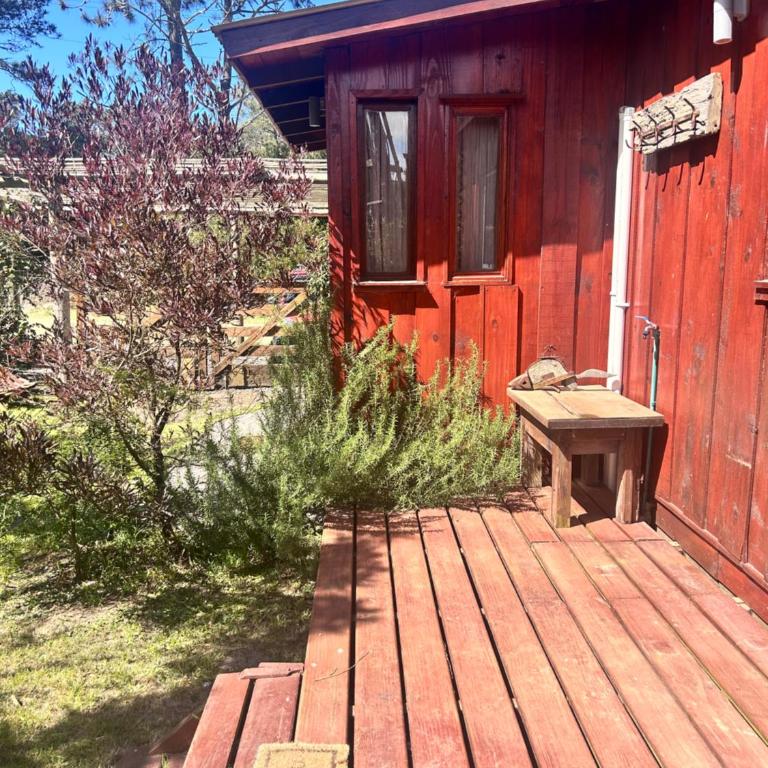 Verde viento - Apartamento de 1 dormitorio - 10