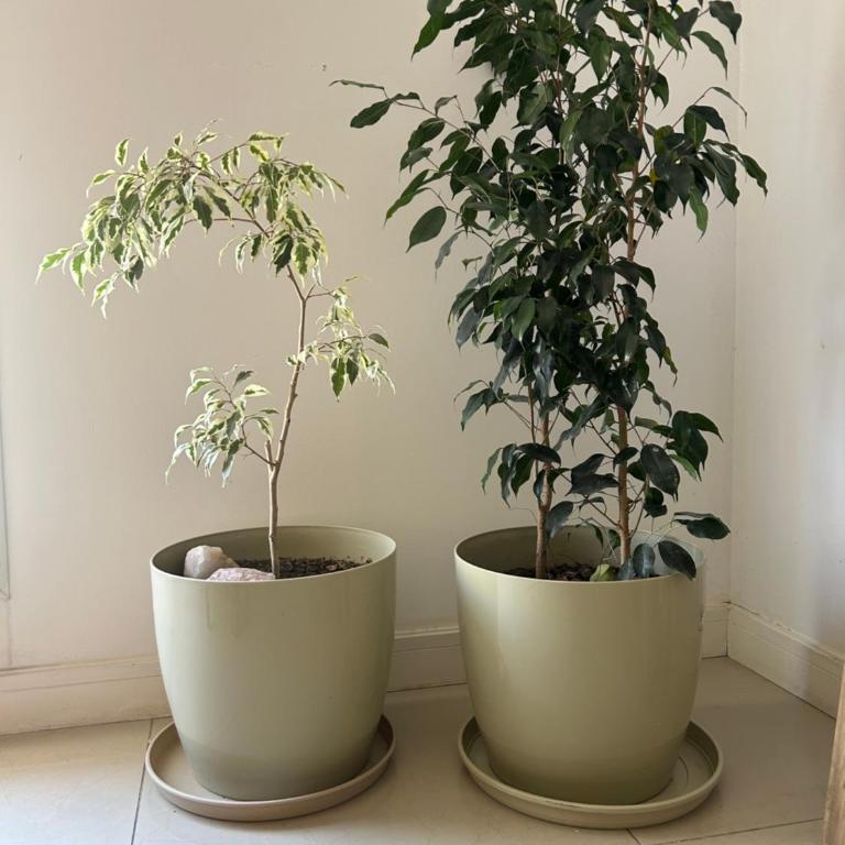 Departamento 3 amb zona Güemes con cochera cubierta - Apartamento de 2 dormitorios - 2