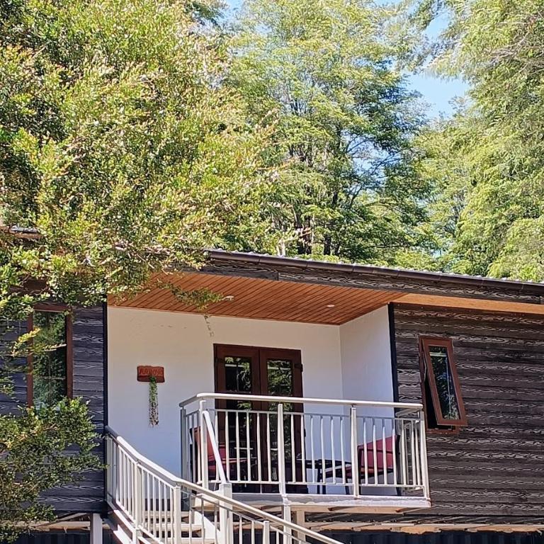 Cabañas Los Volcanes Ensenada Puerto Varas - Chalet Superior - 1