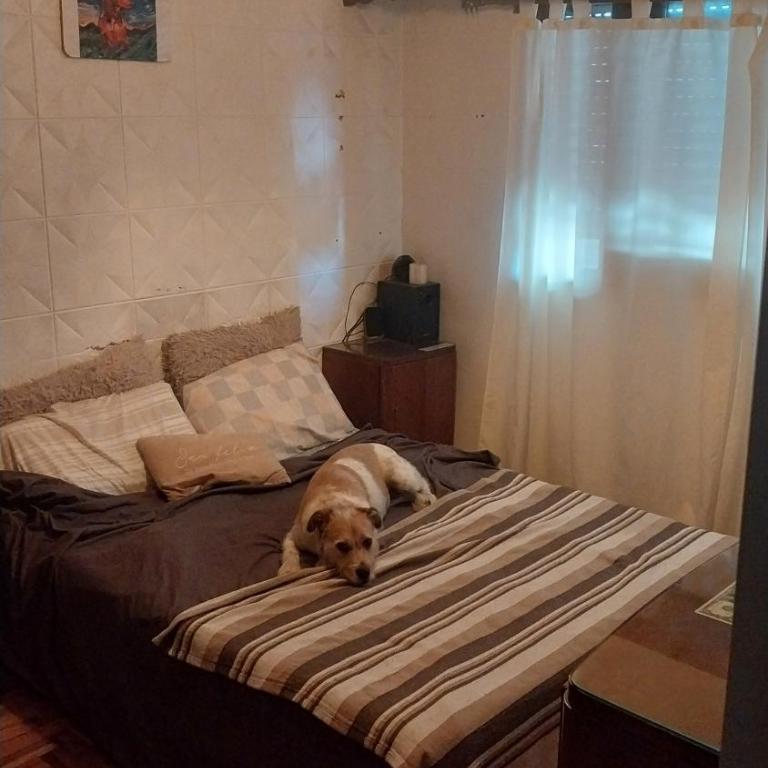 La feliz - Apartamento de 1 dormitorio - 5