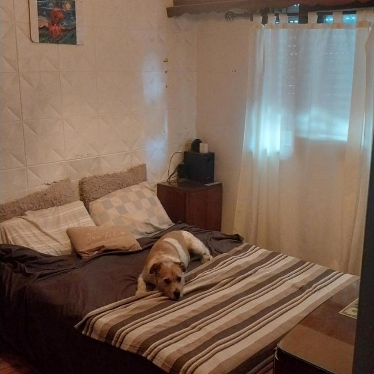 La feliz - Apartamento de 1 dormitorio - 6