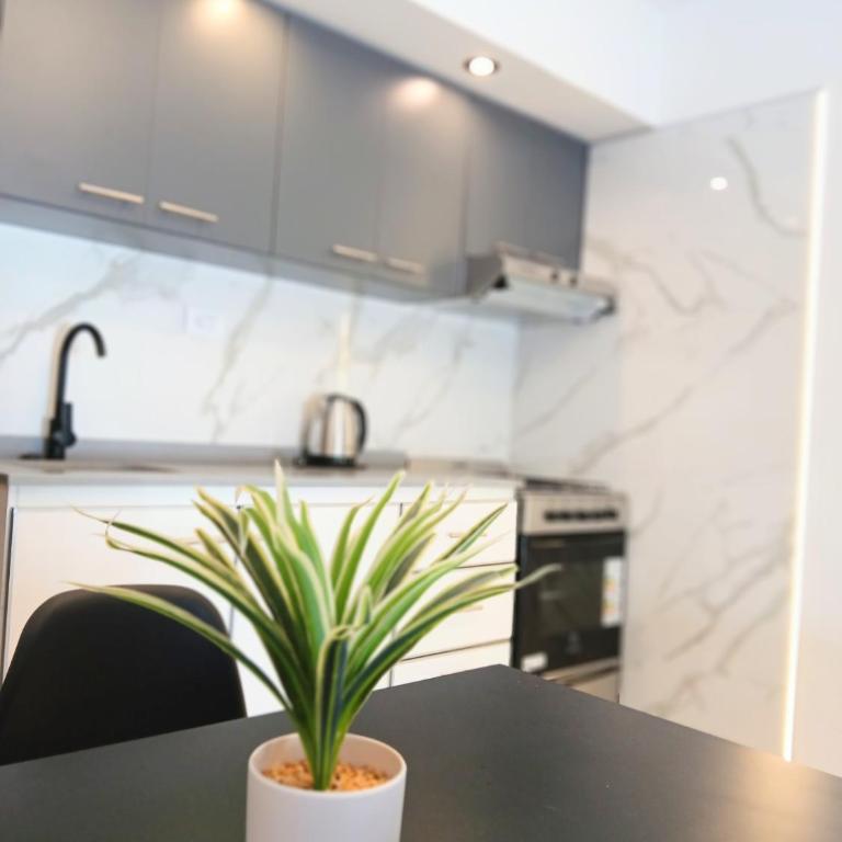 Departamentos Necochea Playa - Apartamento - Planta baja - 7